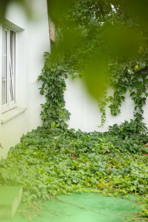 Magic Garden Hostel Kaliszki Eksteriør bilde